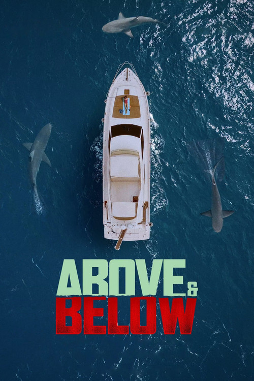 鲨笼绝境 海报