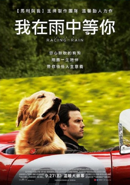 我在雨中等你 海报