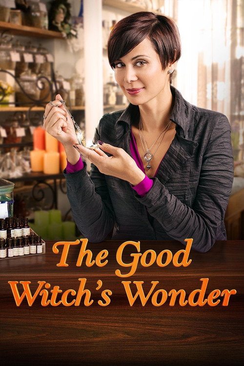 The Good Witch's Wonder 海报
