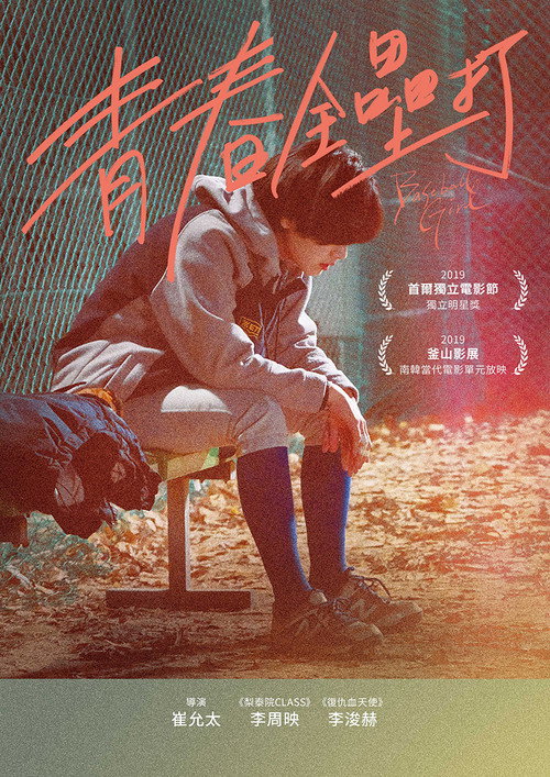棒球少女 海报