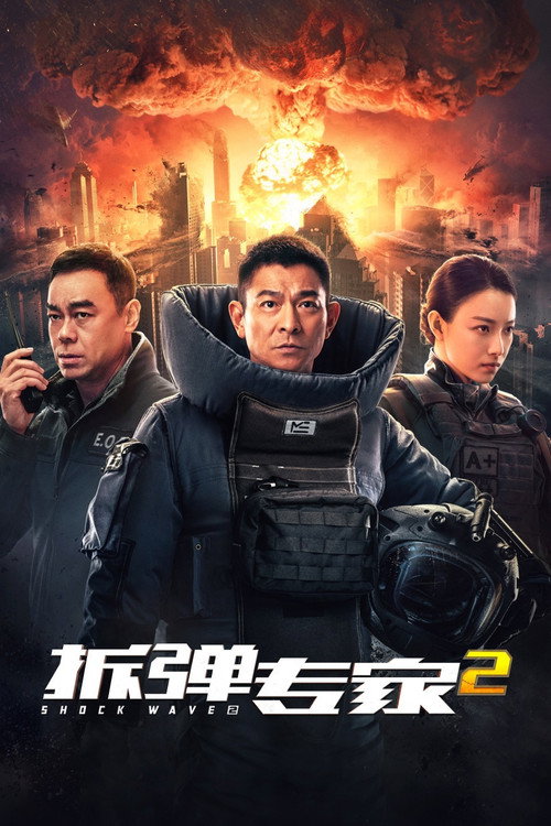 拆弹专家2 海报