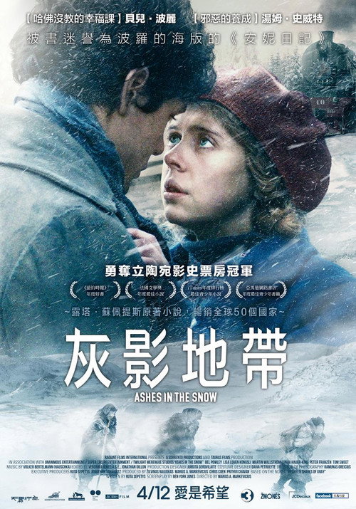 雪中灰烬 海报