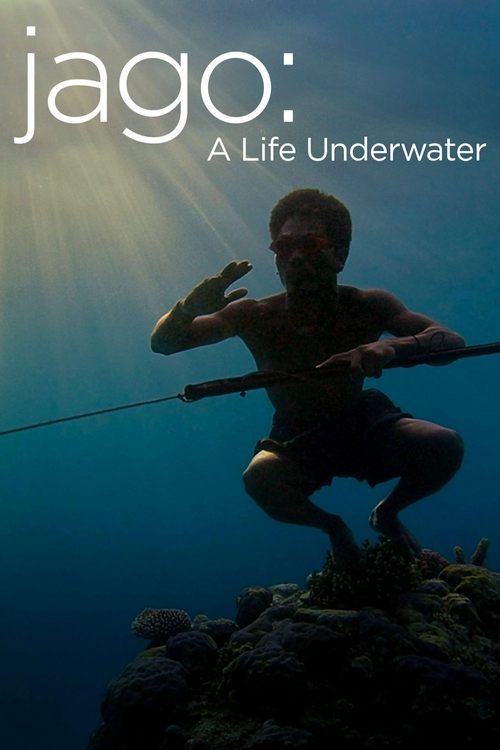 水下人生 海报