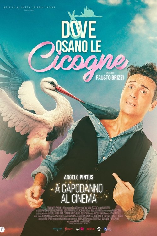 Dove osano le cicogne 海报