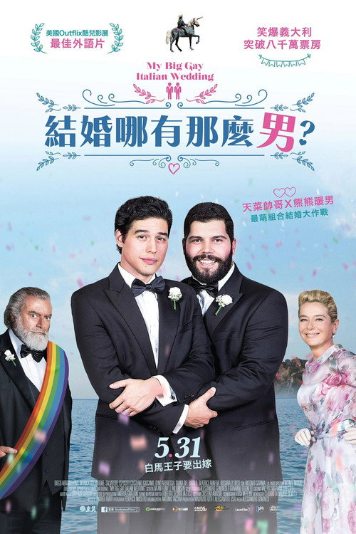 我盛大的意大利同志婚礼 海报