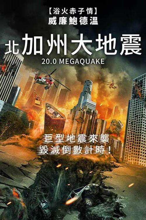 20.0级大地震 海报