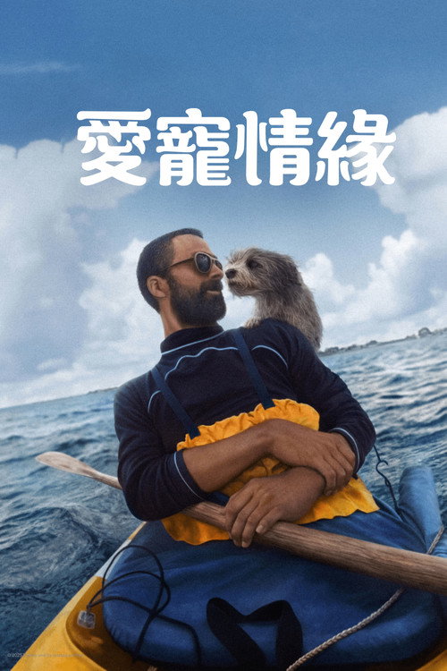 爱宠情缘 海报