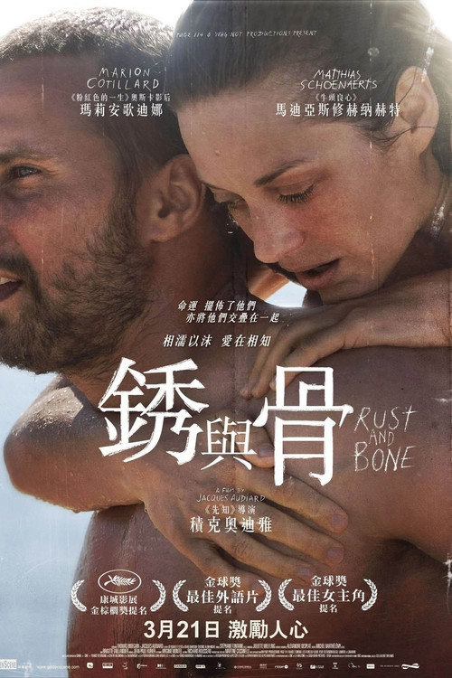 锈与骨 海报