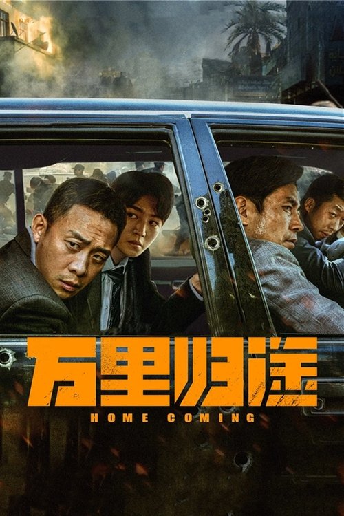 万里归途 海报