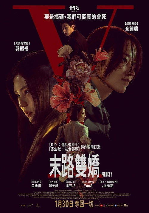 Y计划 海报