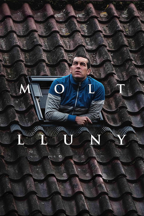 Molt lluny 海报