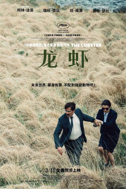 龙虾 海报