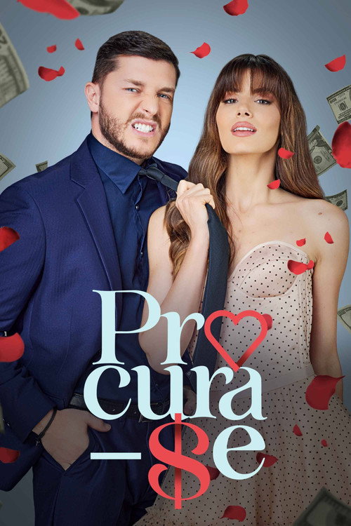 Procura-se 海报