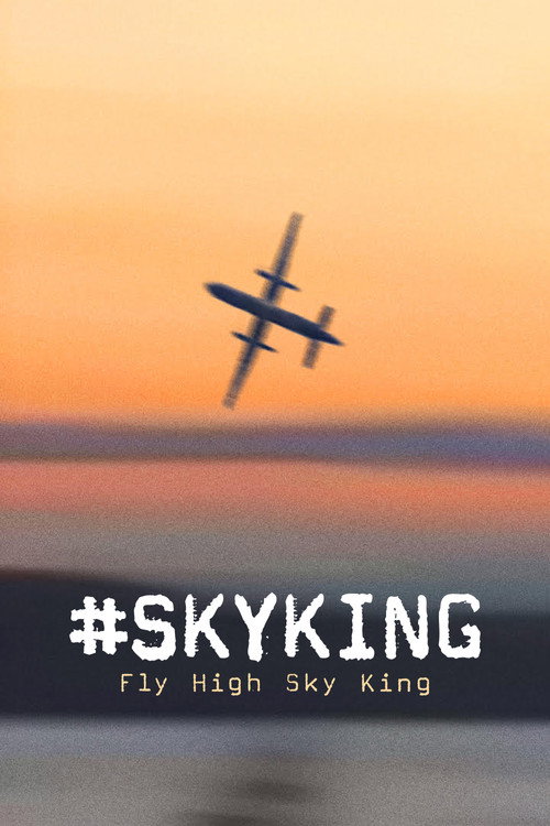 #SKYKING 海报