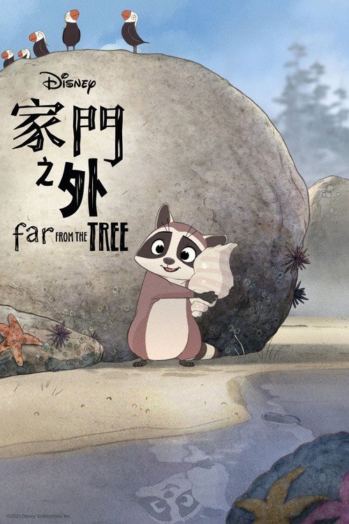 家门之外 海报