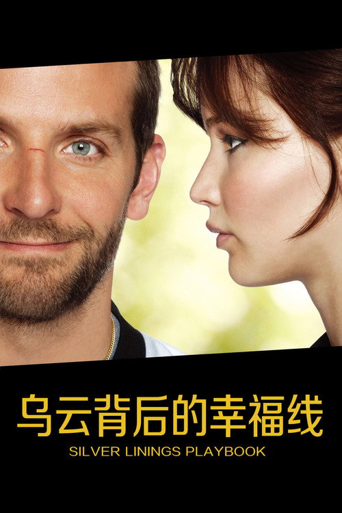 乌云背后的幸福线 海报