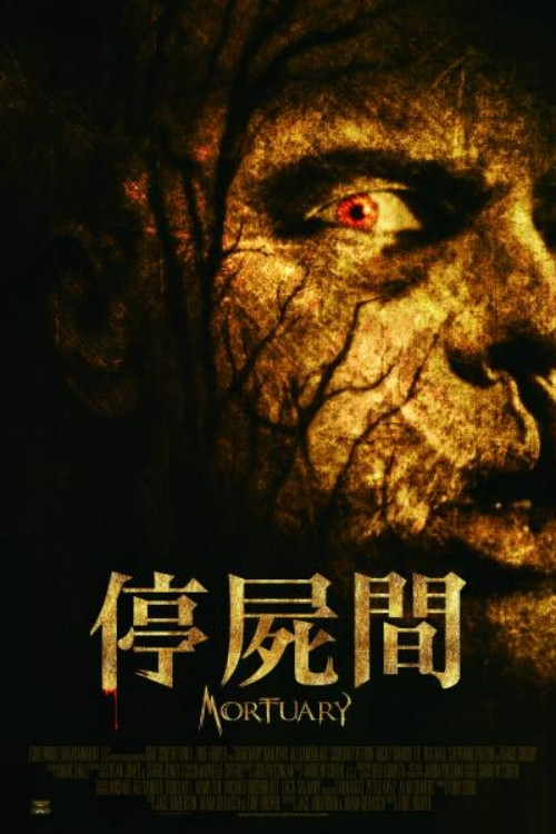 停尸间 海报