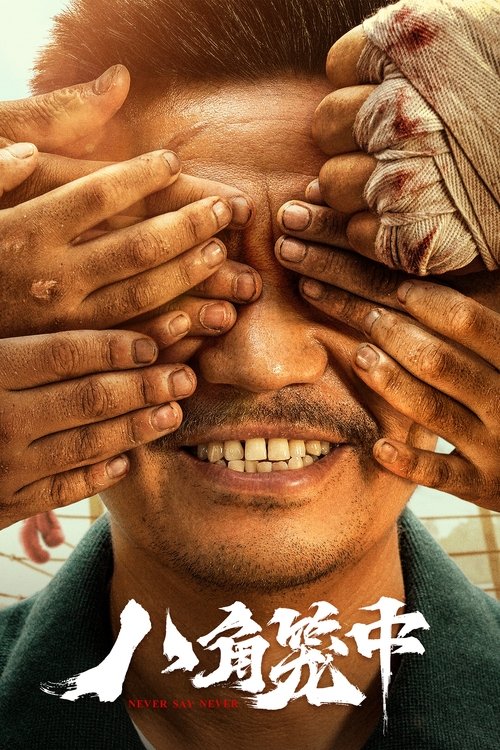 八角笼中 海报