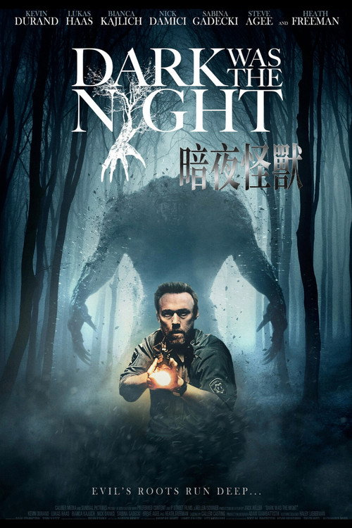 漆黑如夜 海报