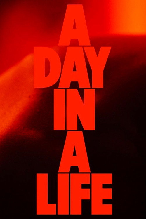 A Day in a Life 海报