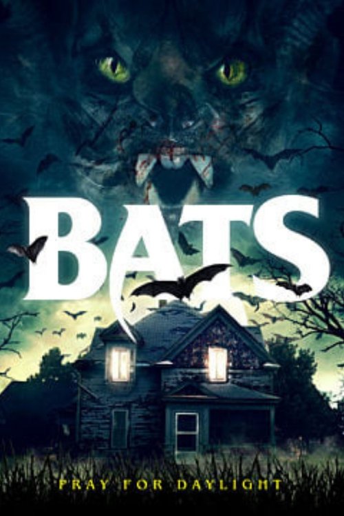 Bats 海报
