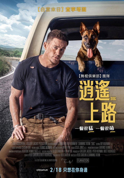 忠犬 海报
