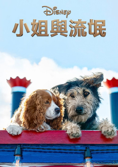 小姐与流浪汉 海报