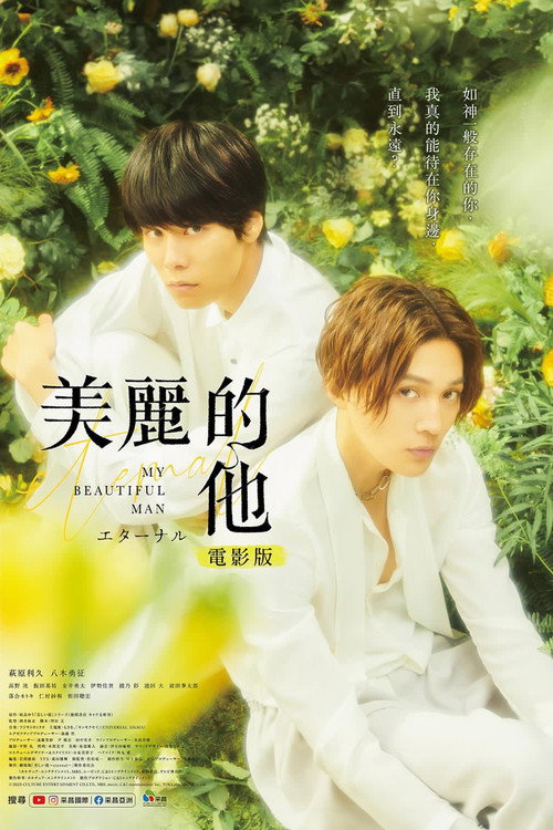 美丽的他电影版 海报