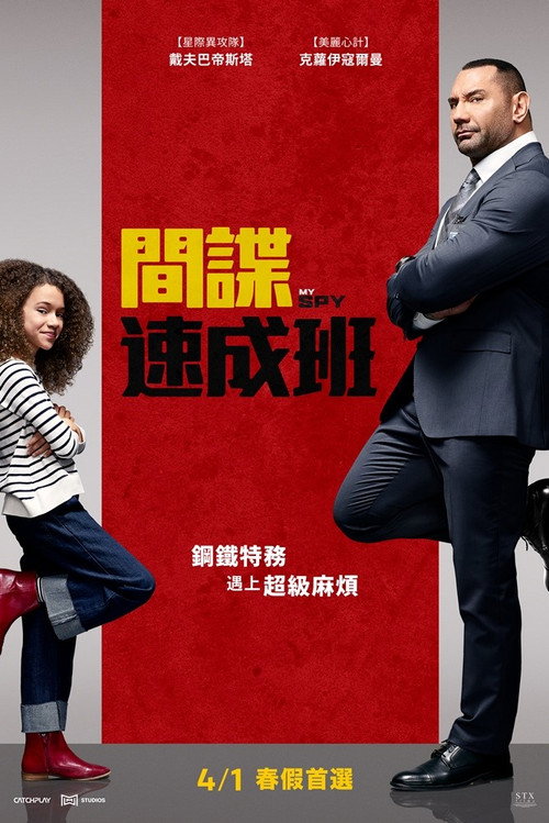 我的间谍 海报