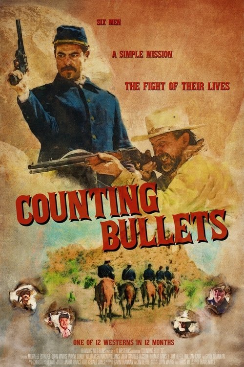 Counting Bullets 海报