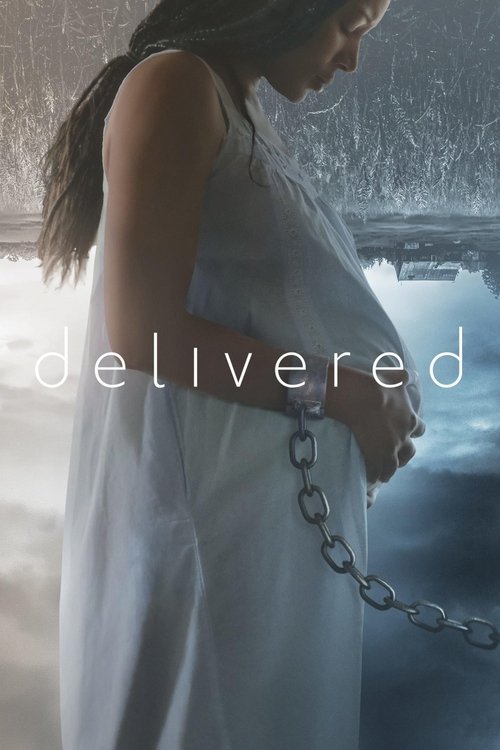 Delivered 海报