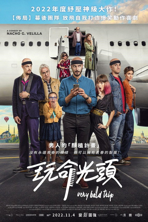 为了头发 海报