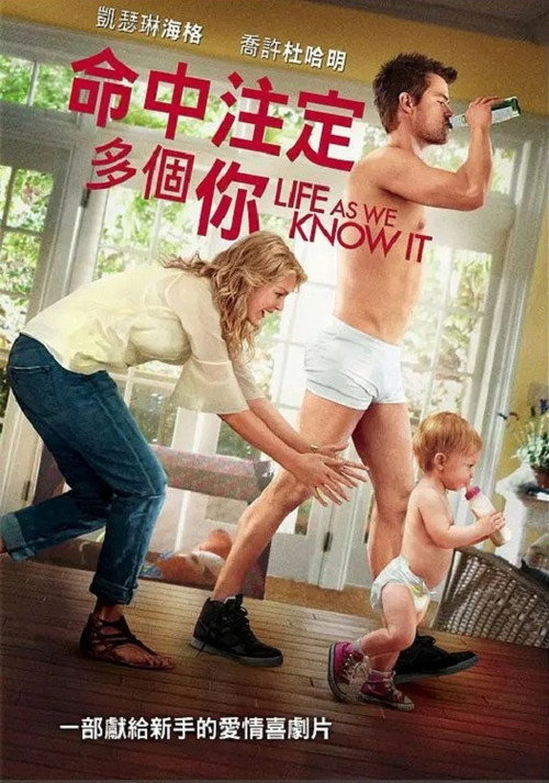 我们所知道的生活 海报