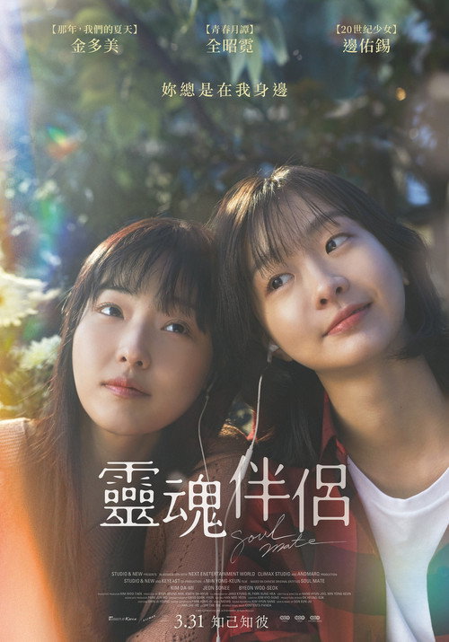 再见，我的灵魂伴侣 海报