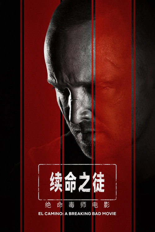 续命之徒：绝命毒师电影 海报