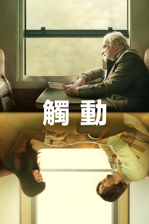 碰触 海报