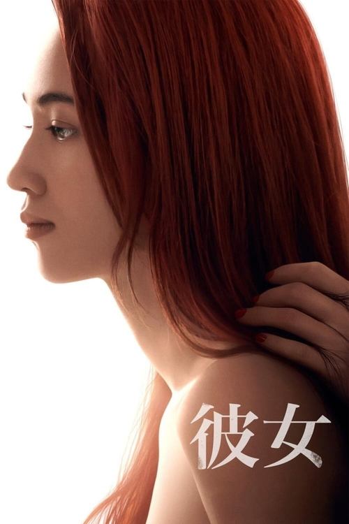 她 海报
