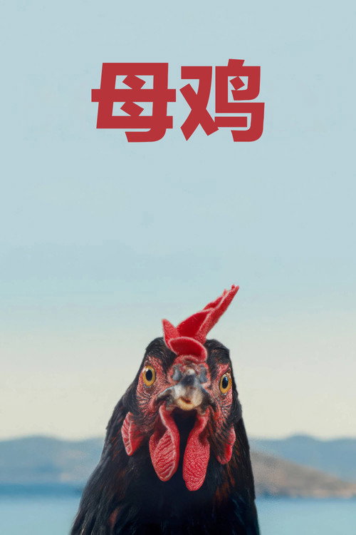 母鸡 海报