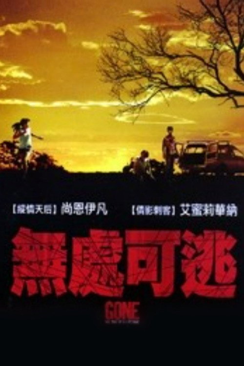 迷失方向 海报