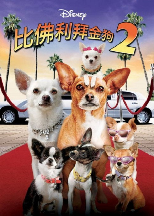 比佛利拜金狗2 海报