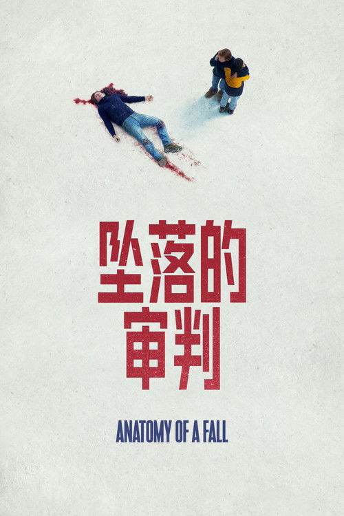 坠落的审判 海报