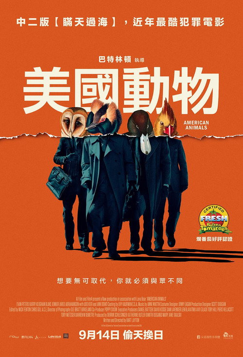 美国动物 海报
