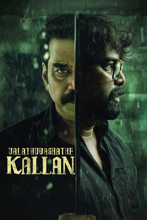 വലത് വശത്തെ കള്ളൻ 海报
