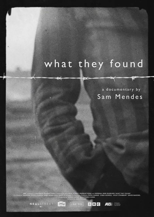 What They Found 海报