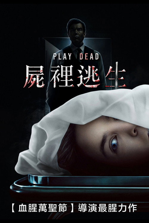 假死寻凶 海报