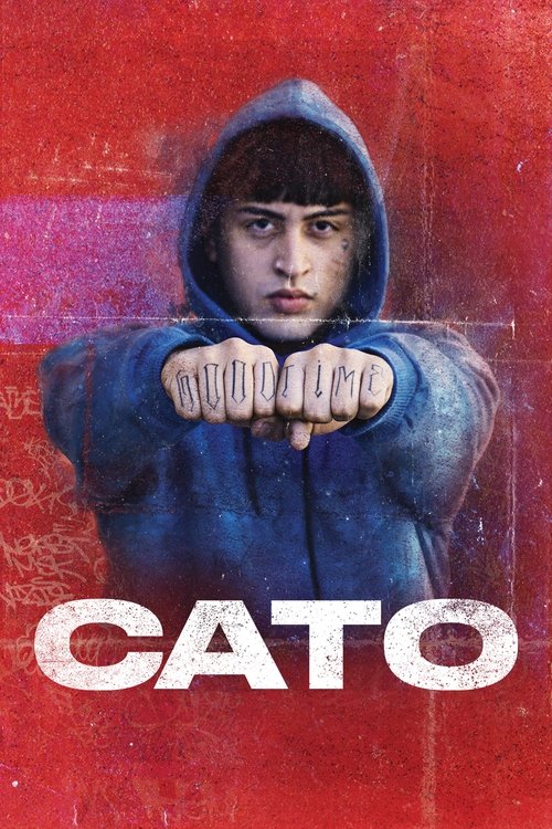 CATO 海报