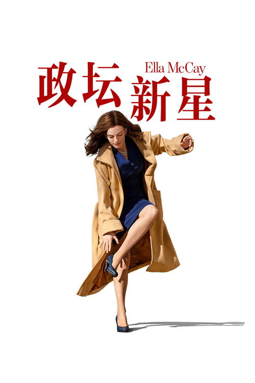 不完美的完美 海报