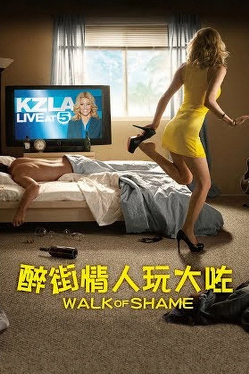 蒙羞之旅 海报
