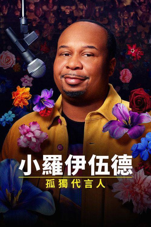 小罗伊伍德：孤独代言人 海报