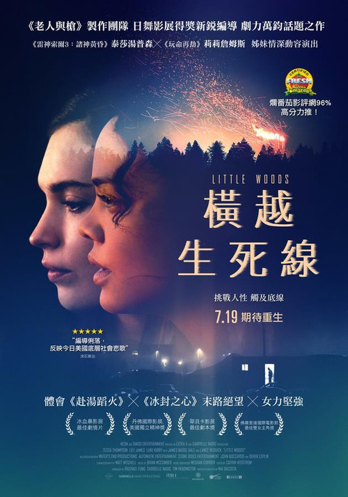 小森林 海报